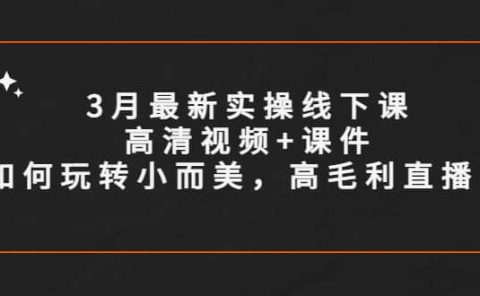 3月最新实操线下课高清视频+课件，如何玩转小而美，高毛利直播间