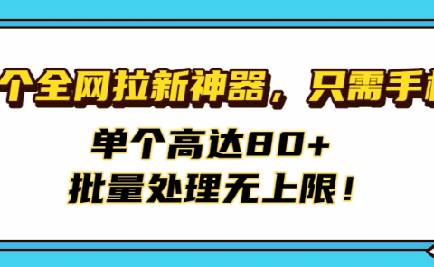 首个全网拉新神器,只需手机,单个高达80+,批量处理无上限!