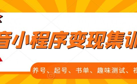 抖音小程序变现集训课，养号、起号、书单、趣味测试、视频剪辑，全套流程