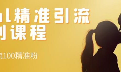 soul精准引流系列课程，每天引流100精准粉