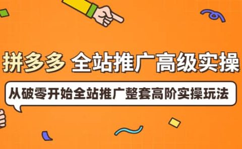拼多多全站推广高级实操:从破零开始全站推广整套高阶实操玩法