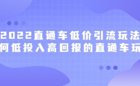 2022直通车低价引流玩法,教大家如何低投入高回报的直通车玩法