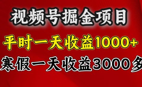 视频号掘金项目，寒假一天收益3000多