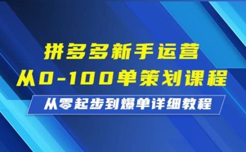 拼多多新手运营从0-100单策划课程，从零起步到爆单详细教程