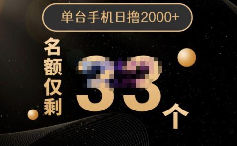 2022年全新口子,手机批量搬砖玩法,一部手机日撸2000+