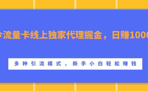 流量卡线上独家代理掘金,日赚1000+ ,多种引流模式,新手小白轻松赚钱