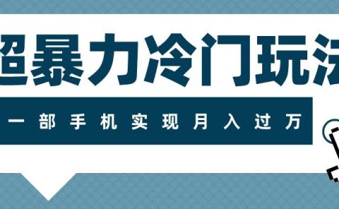 超暴力冷门玩法,可长期操作,一部手机实现月入过万