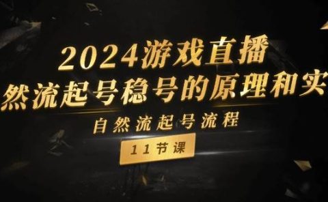 2024游戏直播-自然流起号稳号的原理和实战，自然流起号流程（11节）
