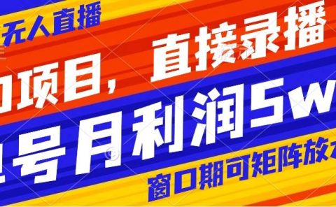 风口项目，小红书无人直播带货，直接录播，可矩阵，月入5w+