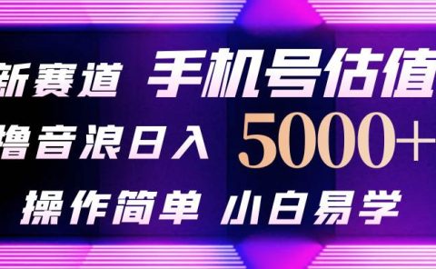 抖音不出境直播【手机号估值】最新撸音浪，日入5000+，简单易学，适合...
