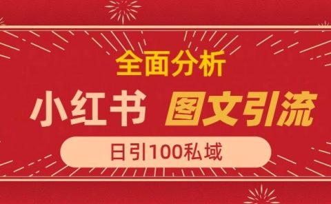 小红书图文引流，全面解析日引100私域流量是怎样做到的