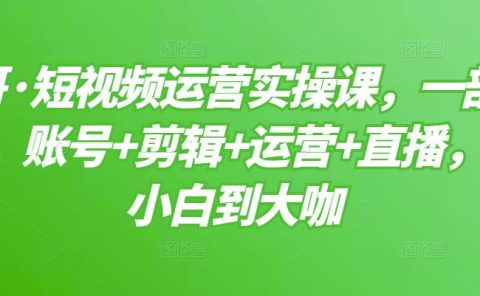 短视频运营实操课，一部手机，账号+剪辑+运营+直播，从小白到大咖