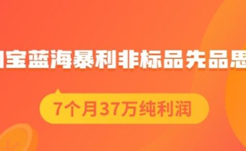 盗坤淘宝蓝海暴利非标品先品思路,7个月37万纯利润,压箱干货分享!【付费文章】