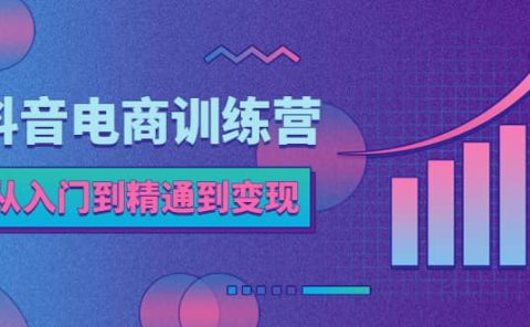 抖音电商训练营：从入门到精通，从账号定位到流量变现，抖店运营实操