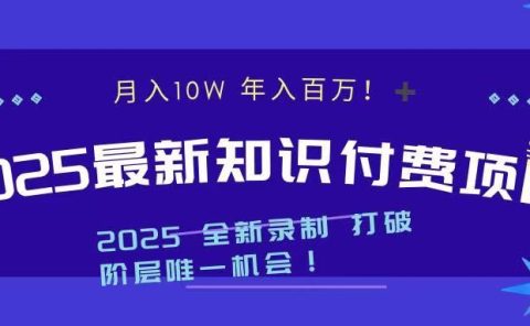 2025最新知识付费项目 实现月入十万，年入百万！