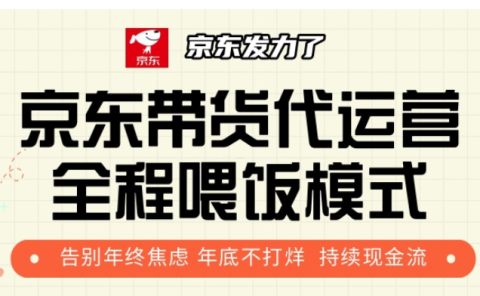 京东带货代运营，年初翻身逆袭项目，小白有手就行，月入8000+
