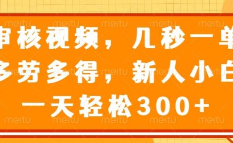 视频审核员，几秒一单，多劳多得，新人小白一天轻松300+