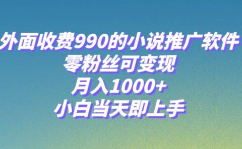 小说推广软件，零粉丝可变现，月入1000+，小白当天即上手【附189G素材】