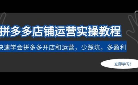 拼多多店铺运营实操教程:快速学会拼多多开店和运营,少踩坑,多盈利