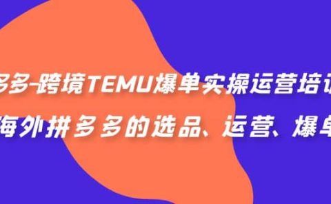 拼多多-跨境TEMU爆单实操运营培训班，海外拼多多的选品、运营、爆单
