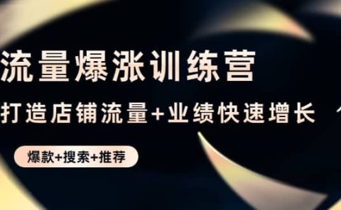 流量爆涨训练营：打造店铺流量+业绩快速增长 (爆款+搜索+推荐)