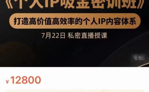个人IP吸金密训班,打造高价值高效率的个人IP内容体系(价值12800元)