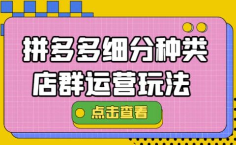 拼多多细分种类店群运营玩法3.0,11月最新玩法,小白也可以操作