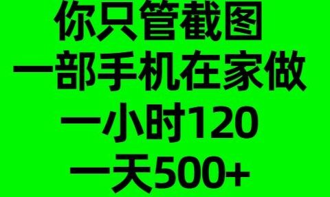 你只管截图，一部手机在家做，一小时120，一天500+