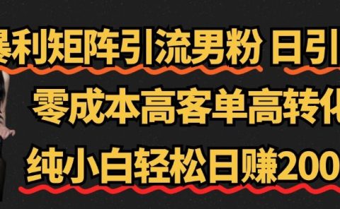 暴利矩阵引流男粉（日引千粉），零成本高客单高转化，纯小白轻松日赚2000+