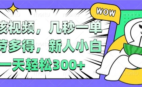 视频审核项目，几秒一单，多劳多得，新人小白一天轻松300+