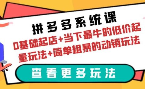 拼多多系统课:0基础起店+当下最牛的低价起量玩法+简单粗暴的动销玩法