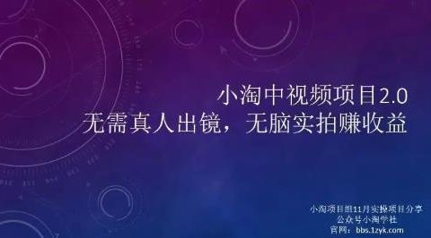 小淘项目组网赚永久会员，绝对是具有实操价值的，适合有项目做需要流程【持续更新】