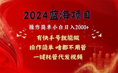 2024蓝海项目，网盘拉新，操作简单小白日入2000+，一键托管代发视频，...