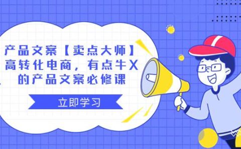 产品文案【卖点大师】高转化电商，有点牛X的 产品文案必修课