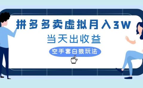 拼多多虚拟项目，单人月入3W+，实操落地项目