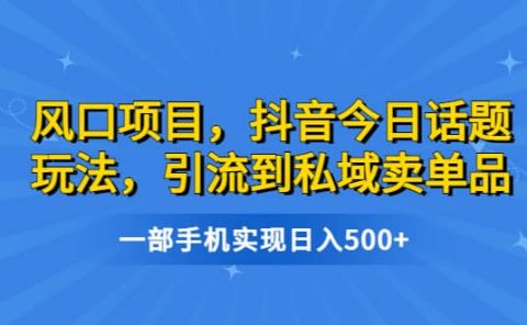 风口项目，抖音今日话题玩法，引流到私域卖单品，一部手机实现日入500+