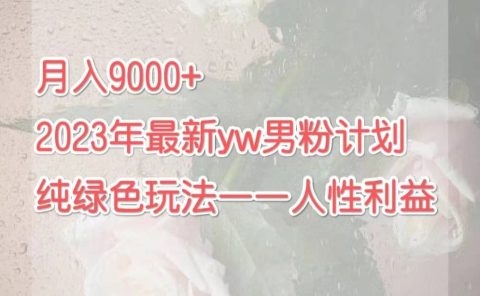 月入9000+2023年9月最新yw男粉计划绿色玩法——人性之利益