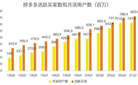 蓝海项目拼多多视频带货课，2022年入百万新风口【视频教程+软件】