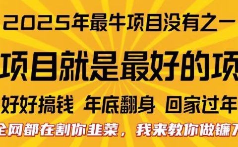 全网都在割你韭菜，我来教你做镰刀。卖项目就是最好的项目，2025年最牛互联网项目
