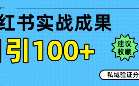 实战成果！小红书图文引流日引100+私域流量经验分享