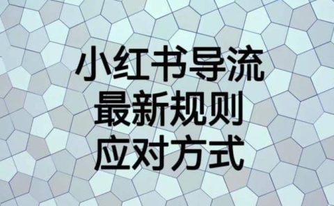 小红书导流最新规则应对方式【揭秘】