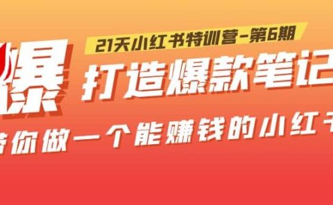 21天小红书特训营-第6期，打造爆款笔记，带你做一个能赚钱的小红书