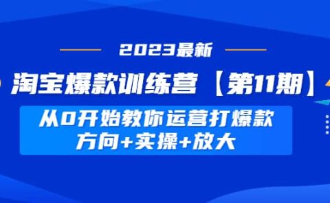 淘宝爆款训练营【第11期】 从0开始教你运营打爆款,方向+实操+放大