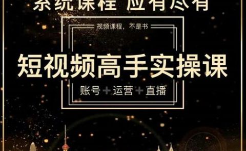 短视频高手实操课:账号+运营+直播,从入门到精通,系统课程,应有尽