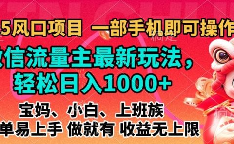 2025蓝海风口项目，微信流量主最新玩法，轻松日入1000+，简单易上手，做就有 收益无上限