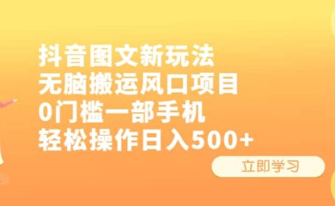 抖音图文新玩法，无脑搬运风口项目，0门槛一部手机轻松操作日入500+