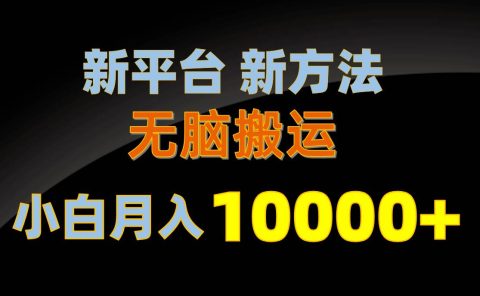 新平台新方法,无脑搬运,月赚10000+,小白轻松上手不动脑