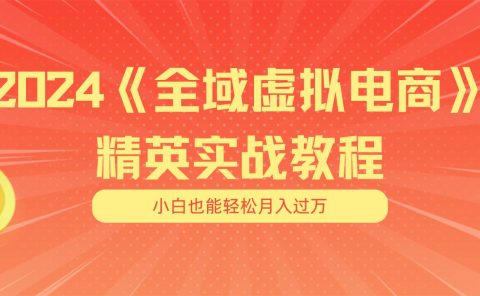 月入五位数 干就完了 适合小白的全域虚拟电商项目(无水印教程+交付手册)