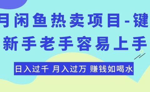 最新闲鱼热卖项目-键盘，新手老手容易上手，日入过千，月入过万，赚钱...