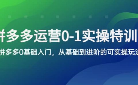 拼多多-运营0-1实操训练营，拼多多0基础入门，从基础到进阶的可实操玩法